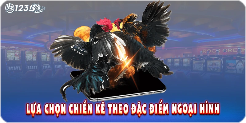 Lựa chọn chiến kê theo đặc điểm ngoại hình