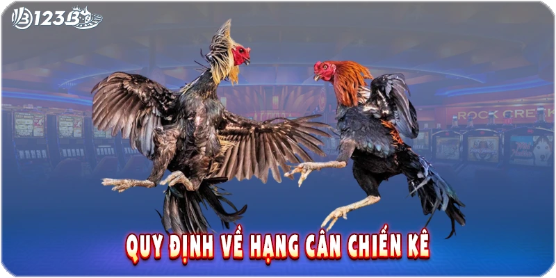 Quy định về hạng cân chiến kê